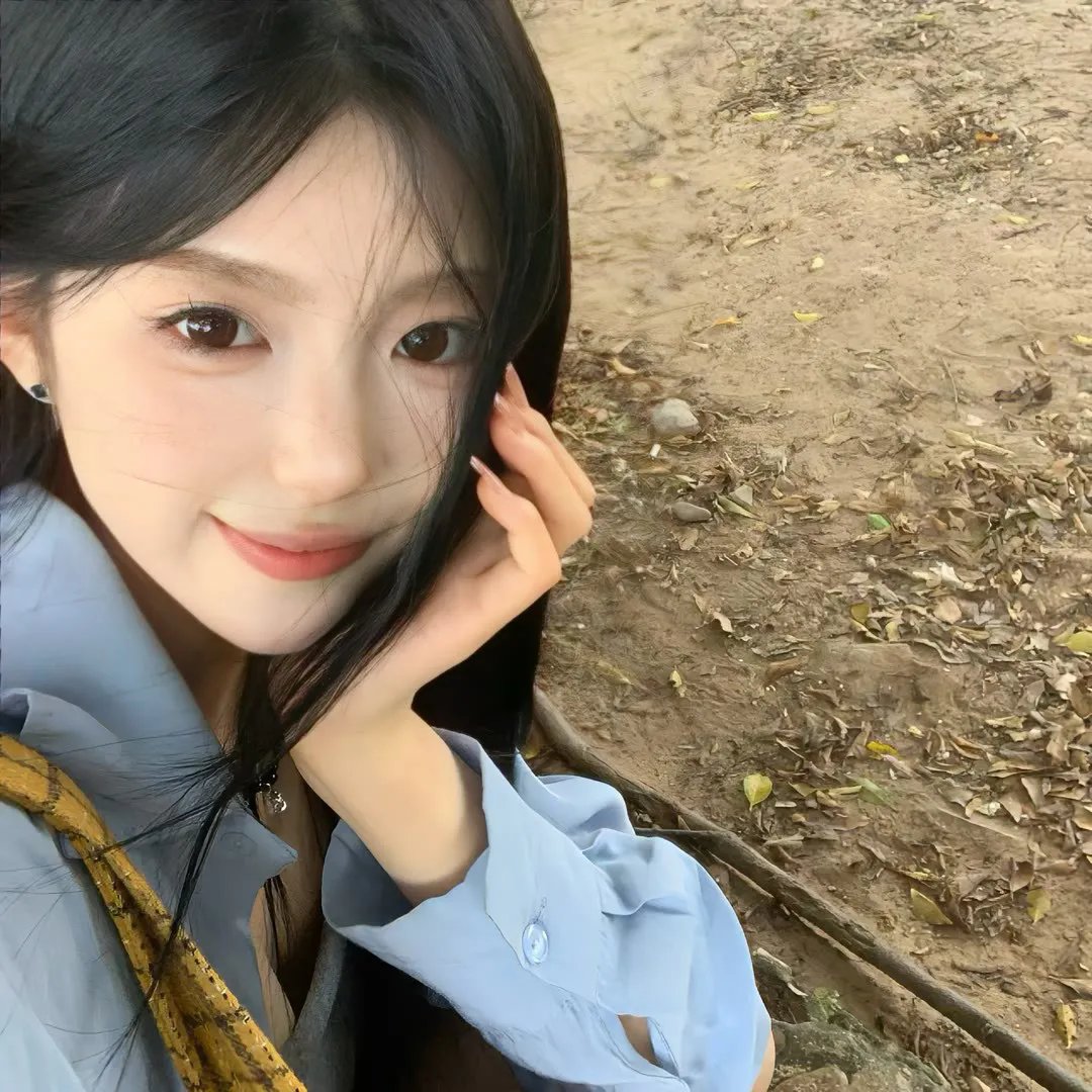 野狗们 海报