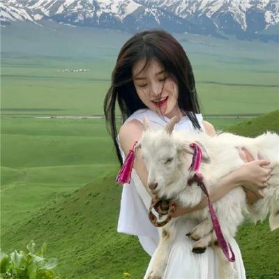 费雪小姐电影版 海报