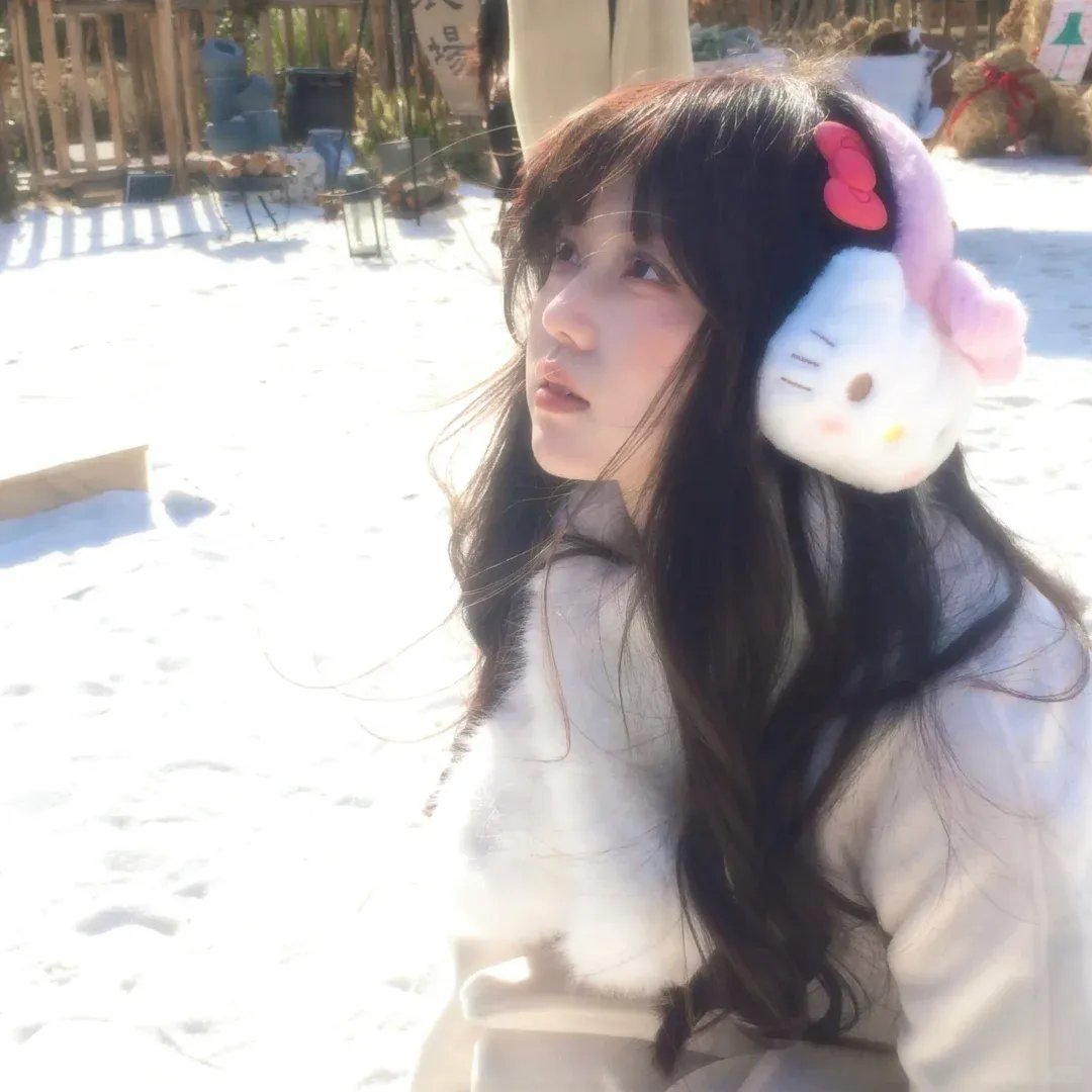 女王鲨 海报